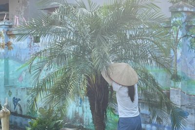 Chủ nhật xanh tháng 11 năm 2024